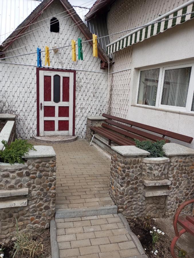Вилла Casuta Bunicilor Dorna Cindrenilor Экстерьер фото