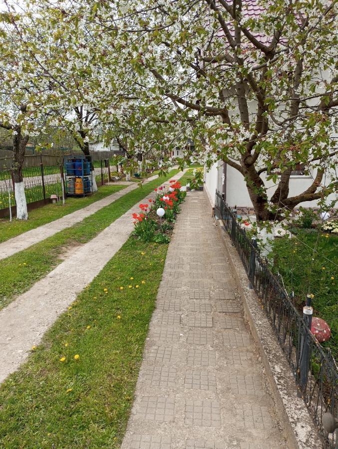 Вилла Casuta Bunicilor Dorna Cindrenilor Экстерьер фото