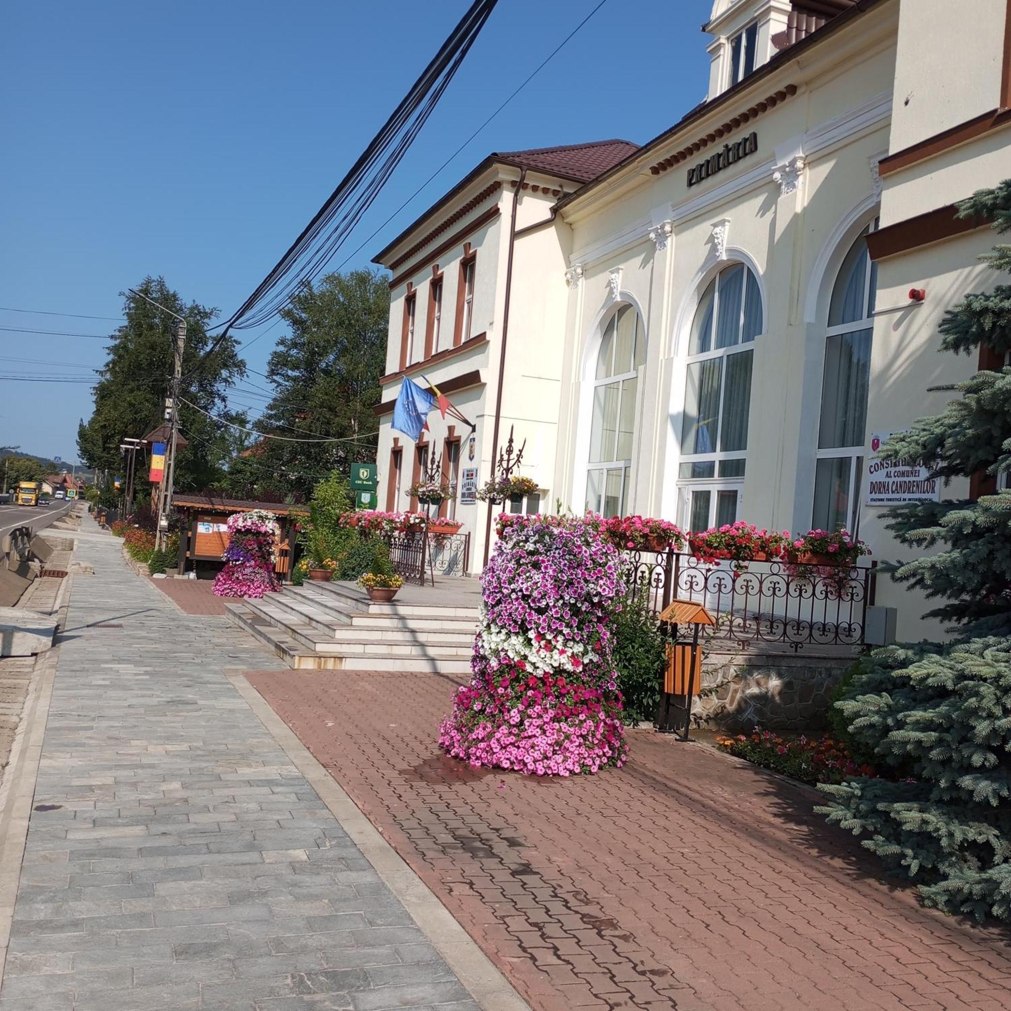 Вилла Casuta Bunicilor Dorna Cindrenilor Экстерьер фото